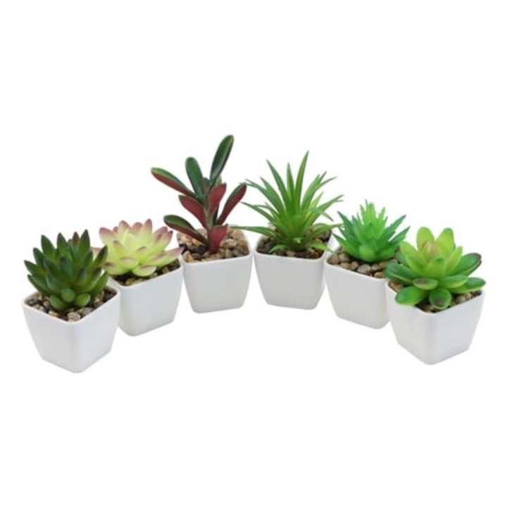 Set de 6 plante suculente artificiale pentru decor, aspect realist, fara intretinere