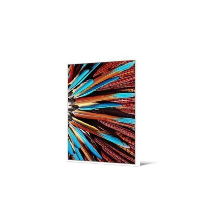 Tablou Euro-Home, multicolor, 104x144cm, posibilitate de suspendare verticala si orizontala