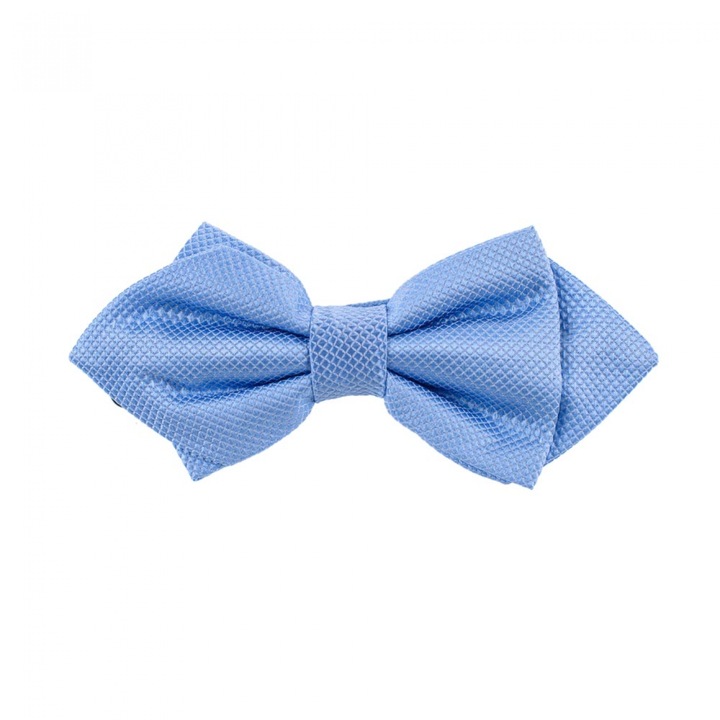 Papion diamant bleu, Onore