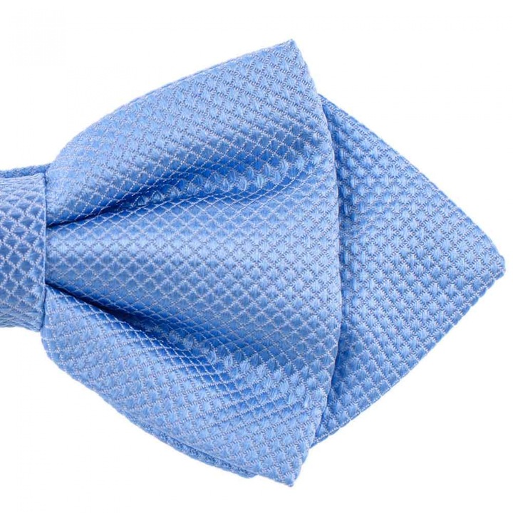 Papion diamant bleu, Onore