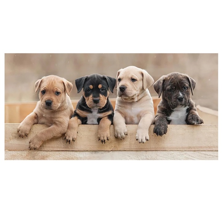Prosop copii, Puppies Friends, bumbac 100%, multicolor, 70x140 cm