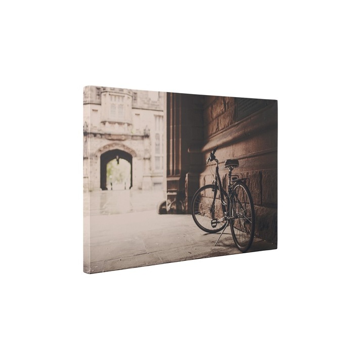 Bicicleta - Tablou Canvas - 85x110 cm