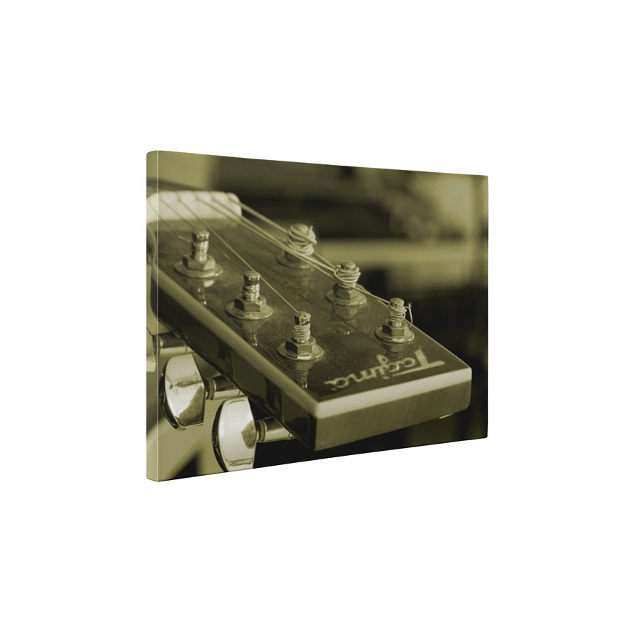 Corzi - Tablou Canvas - 60x80 cm