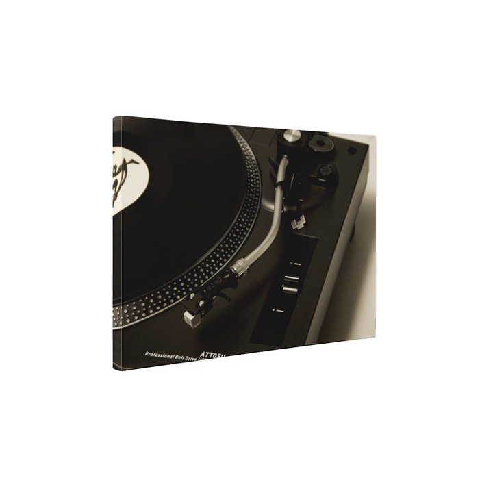 Turntable - Tablou Canvas - 85x110 cm