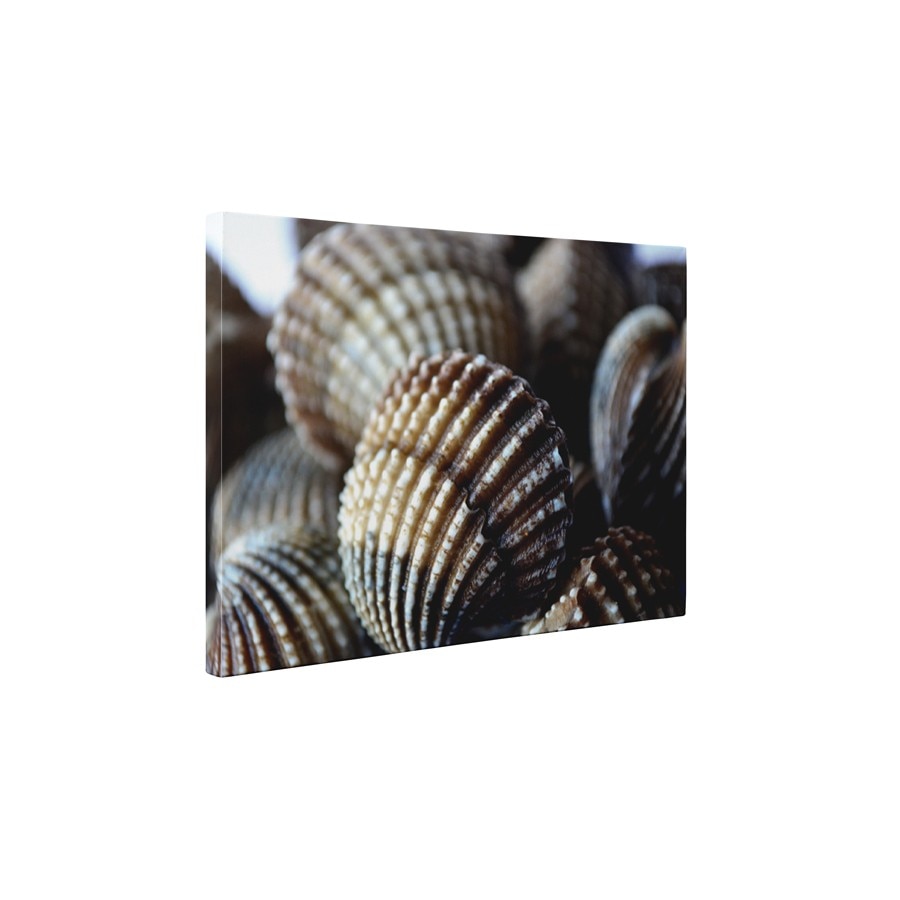 Scoici - Tablou Canvas - 60x75 cm