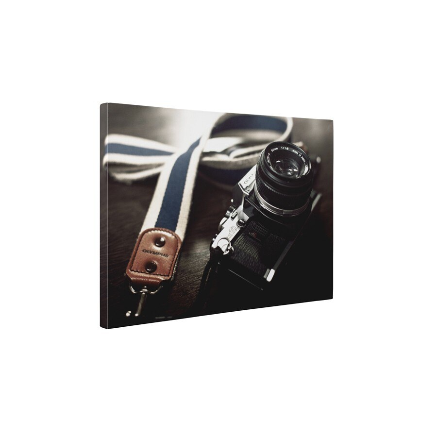Aparat foto Olympus - Tablou Canvas - 60x75 cm