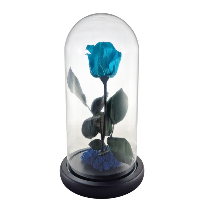 Cupola de sticla cu trandafir criogenat Turcoaz, coada criogenata si licheni Albastru – 25 x 12 cm – FloraVellé