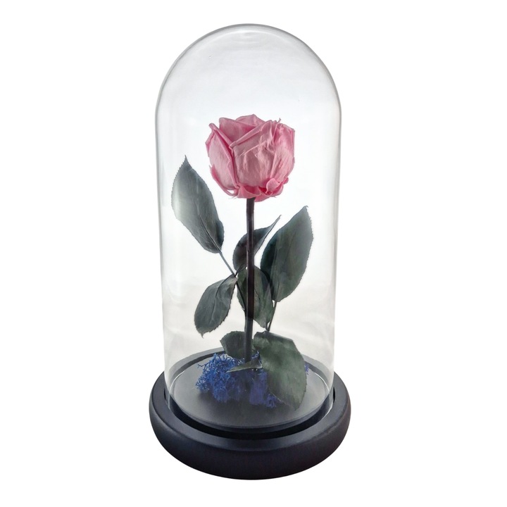 Cupola de sticla cu trandafir de Gradina criogenat roz pastel, coada criogenata, licheni albastri, 25x12cm, FloraVelle