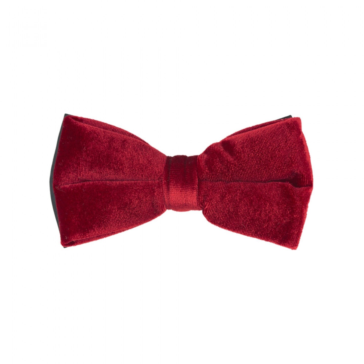 Papion catifea grena, Onore