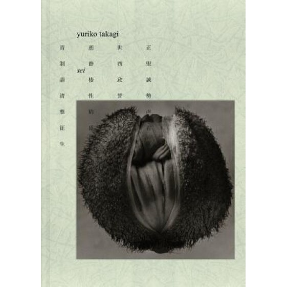 Yuriko Takagi: SEI, Alberto Manguel (Text by (Art/Photo Books))