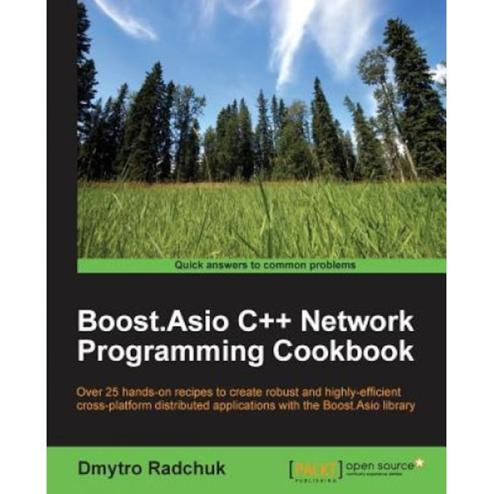 Boost.Asio C++ Network Programming Cookbook, Dmytro Radchuk (Author)