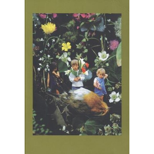 Mat Collishaw, Mat Collishaw (Author)