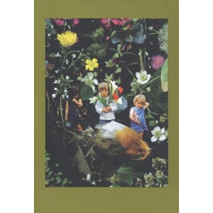 Mat Collishaw, Mat Collishaw (Author)