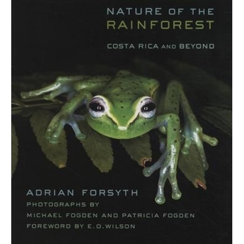 Nature of the Rainforest: Costa Rica and Beyond, Adrian Forsyth