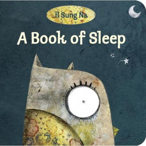 A Book of Sleep, Il Sung Na (Author)