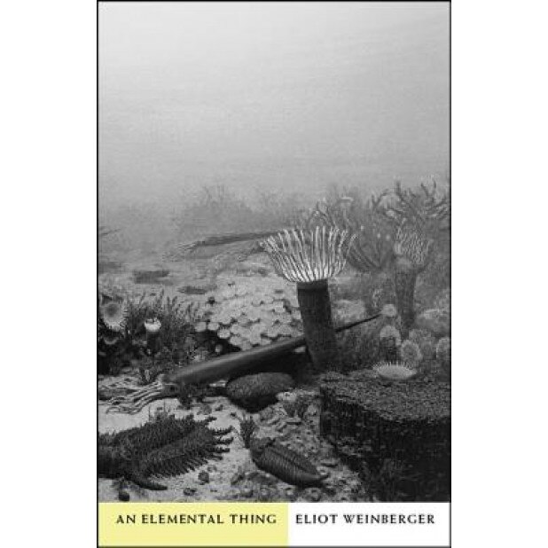 An Elemental Thing, Eliot Weinberger