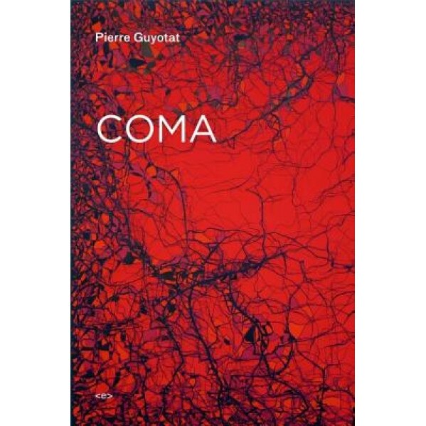 Coma, Pierre Guyotat