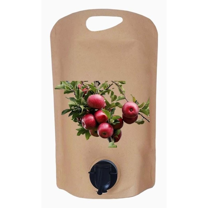 Suc de mere, Transylvania's Finest Foods, 100% natural, bag in box, 1l