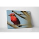 Piros madár vakrámás vászonkép - 25x35 cm