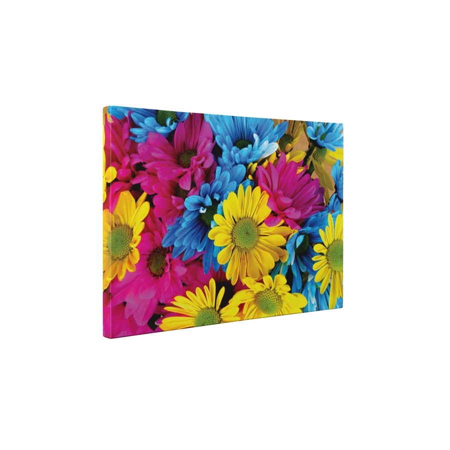 Flori colorate - Tablou Canvas - 60x80 cm