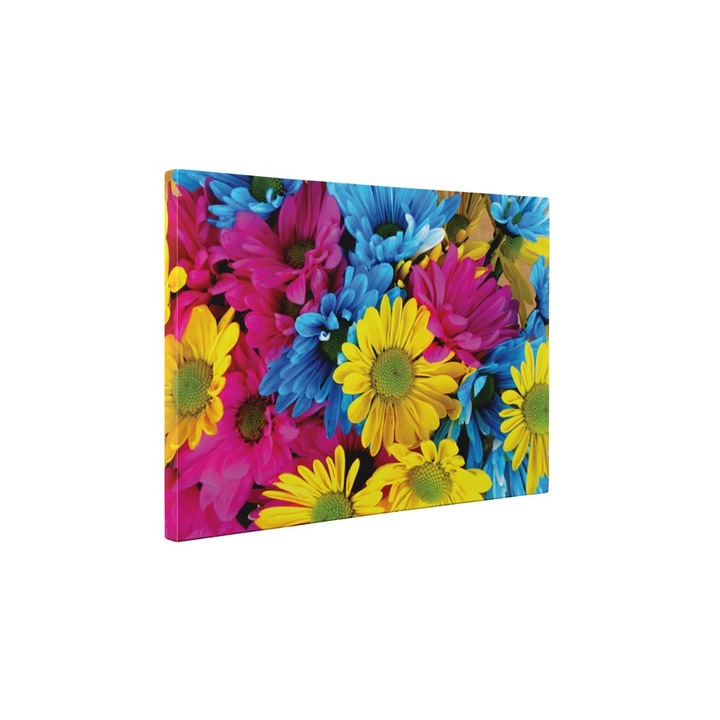 Flori colorate - Tablou Canvas - 85x110 cm