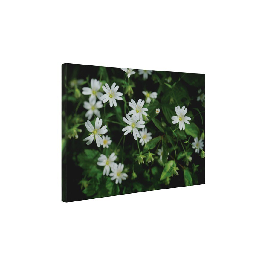 Floricele albe - Tablou Canvas - 60x80 cm