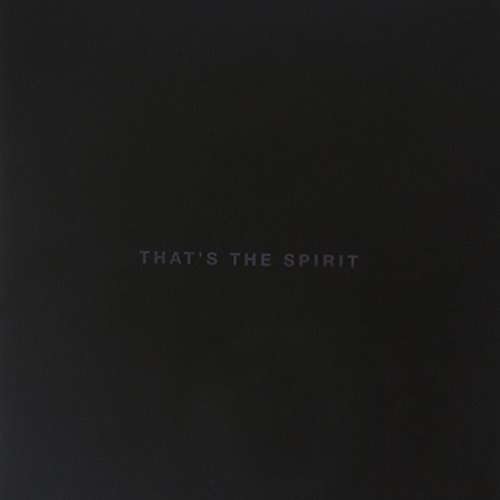 Bring Me the Horizon - That'S The Spirit (CD)