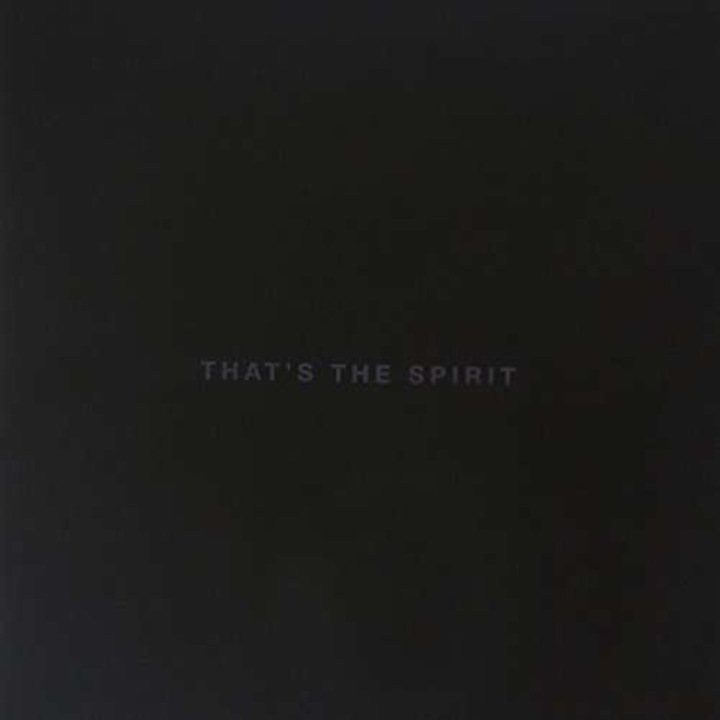 Bring Me the Horizon - That'S The Spirit (CD)