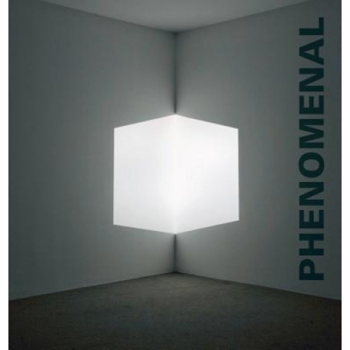 Phenomenal: California Light, Space, Surface, Robin Lee Clark (Author)