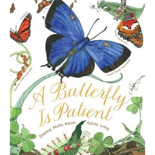 A Butterfly Is Patient, Dianna Hutts Aston (Author)