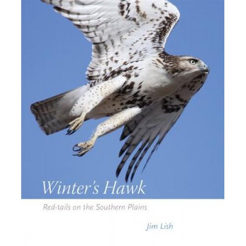 Winter's Hawk: Red-Tails on the Southern Plains, Jim Lish (Author)