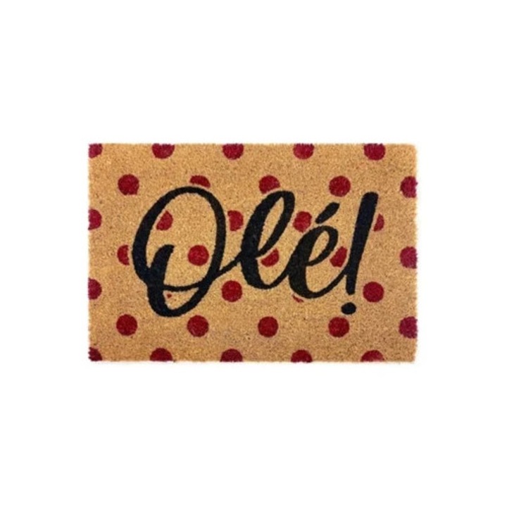 Kókuszrost bejárati szőnyeg, csúszásmentes PVC hátlappal, 40x60cm