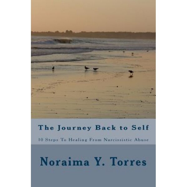 10 Steps to Healing After Narcissistic Abuse, Noraima Yarissa Torres (Author)