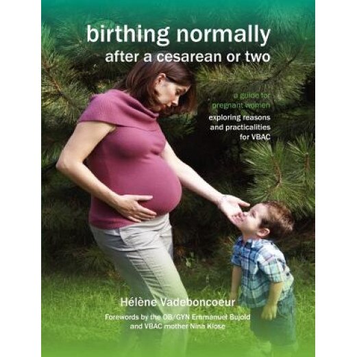Birthing Normally After a Cesarean or Two (American Edition), H. L. Ne Vadeboncoeur (Author)