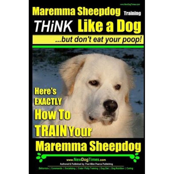 Maremma Sheepdog Maremma Sheepdog Training - Think Like a Dog But Don't Eat Your Poop!: Here's Exactly How to Train Your Meremma Sheepdog, MR Paul Allen Pearce (Author)