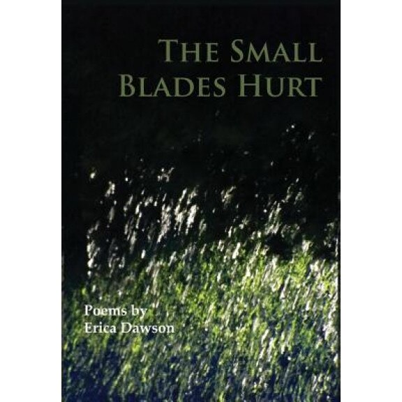 The Small Blades Hurt, Erica Dawson (Author)