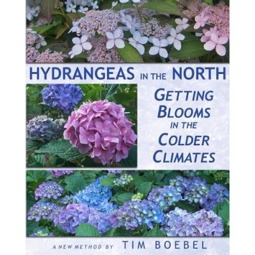 Hydrangeas in the North, Tim Boebel (Author)