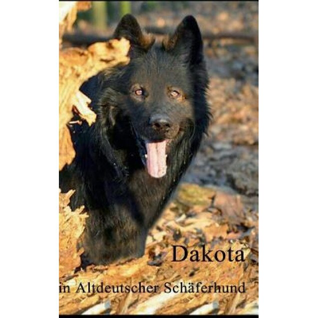 Dakota, Karin Adamczyk (Author)