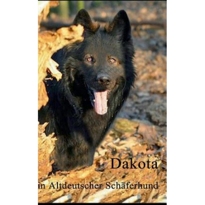 Dakota, Karin Adamczyk (Author)