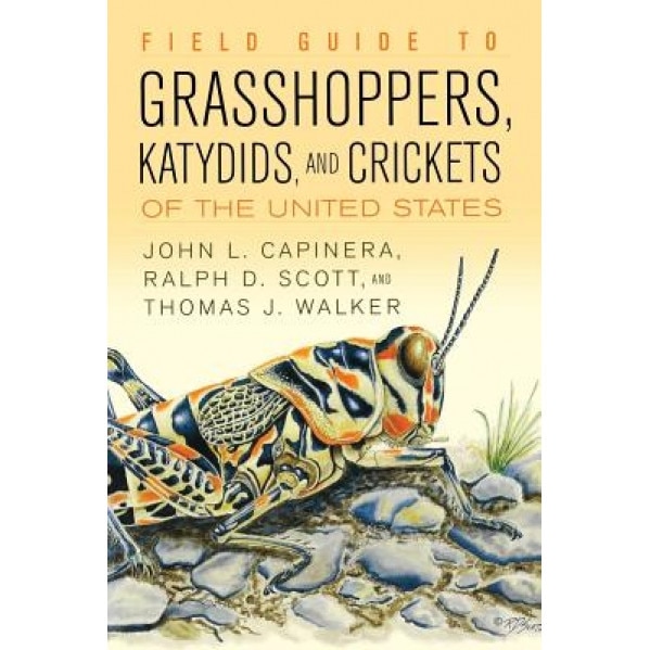 Field Guide to Grasshoppers, Katydids, and Crickets of the United States, John L. Capinera (Author)
