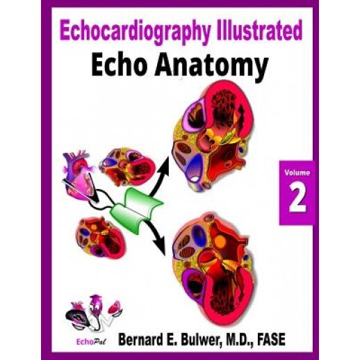 Echo Anatomy - Bernard E. Bulwer MD (Author)
