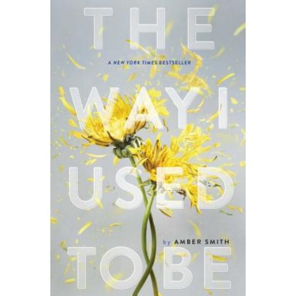 The Way I Used to Be, Amber Smith (Author)