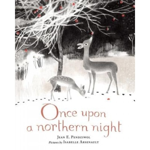 Once Upon a Northern Night, Jean E. Pendziwol (Author)
