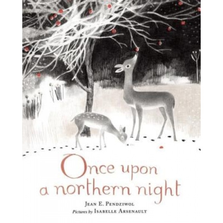 Once Upon a Northern Night, Jean E. Pendziwol (Author)