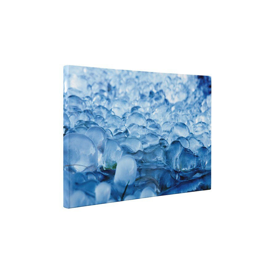 Albastreala inghetata - Tablou Canvas - 65x85 cm