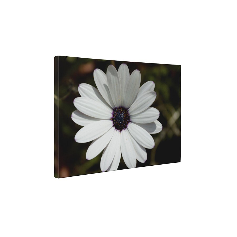 Petale albe - Tablou Canvas - 45x60 cm