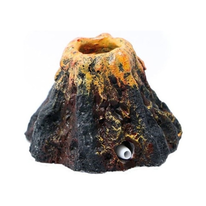 Accesoriu mixer fluture pentru TM5 TM31, set