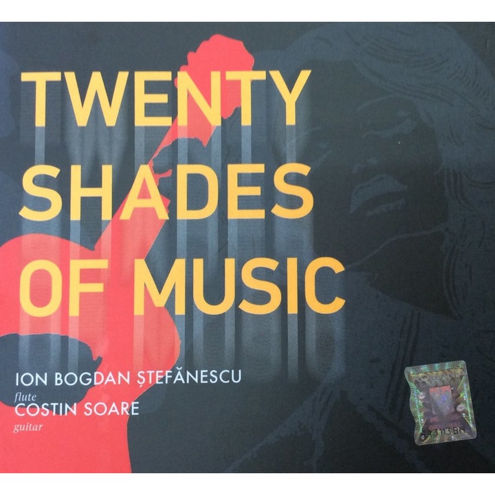 Ioan Bogdan Stefanescu/Costin Soare - Twenty Shades of Music (CD)