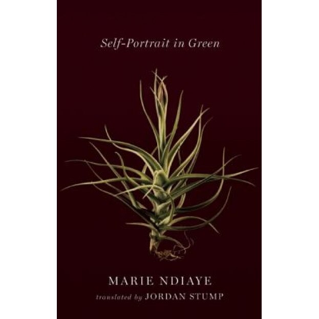 Self-Portrait in Green, Marie Ndiaye (Author)