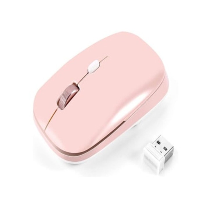 Mouse Silent 2.4G cu Receiver USB, Multicolor